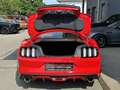 Ford Mustang 5,0 Ti-VCT V8 GT FASTBACK Rood - thumbnail 15