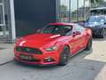Ford Mustang 5,0 Ti-VCT V8 GT FASTBACK Rood - thumbnail 1