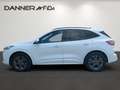 Ford Kuga 120PS Diesel 2,0 AWD ST-Line (BLACK DANNER WEEK... Weiß - thumbnail 4