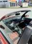 Volkswagen Golf Cabriolet Cabrio Trendl. man. Verd. TDI - thumbnail 5