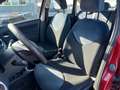 Citroen C3 1,4 Image (EXPORT ODER WIEDERVERKÄUFER) Rot - thumbnail 8