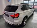 BMW X5 X5 xDrive30d Sport-Aut. Blanc - thumbnail 6
