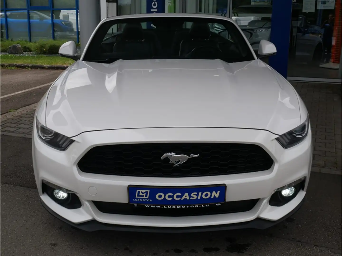 Ford Mustang Cabrio 2.3 EcoBoost 317cv M6 Bianco - 1