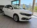 Fiat Tipo Tipo 5porte II 2021 5p 1.6 mjt Business s Bianco - thumbnail 13