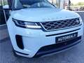 Land Rover Range Rover Evoque Mark II P200 FLEXFUEL MHEV AWD BVA9 S Weiß - thumbnail 5