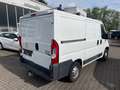 Peugeot Boxer Kasten 330 L1H1 Avantage Edition HDi 110 Blanc - thumbnail 5