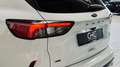 Ford Kuga ST-Line X |HUD|LED|Kamera|ACC| Weiß - thumbnail 11