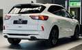 Ford Kuga ST-Line X |HUD|LED|Kamera|ACC| Weiß - thumbnail 7