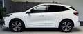 Ford Kuga ST-Line X |HUD|LED|Kamera|ACC| Weiß - thumbnail 8