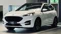 Ford Kuga ST-Line X |HUD|LED|Kamera|ACC| Weiß - thumbnail 3