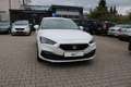 SEAT Leon Style Weiß - thumbnail 6