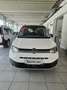 Volkswagen Caddy Edition TDI 4MOTION Weiß - thumbnail 3