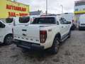 Ford Ranger Wildrak DK 4x4 Netto 18.000.- Ohne Anzahlung 499.- Weiß - thumbnail 5