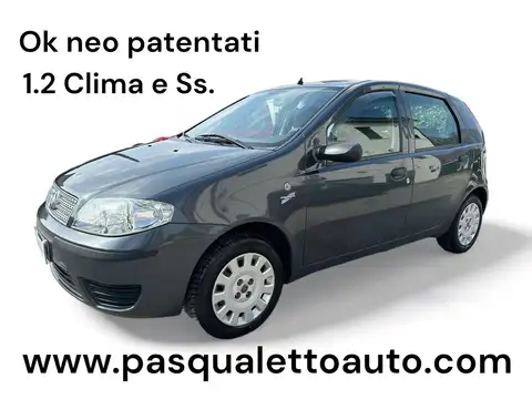 Usata FIAT Punto Ok Neo Pat Punto 5P 1.2 Classic Active Benzina