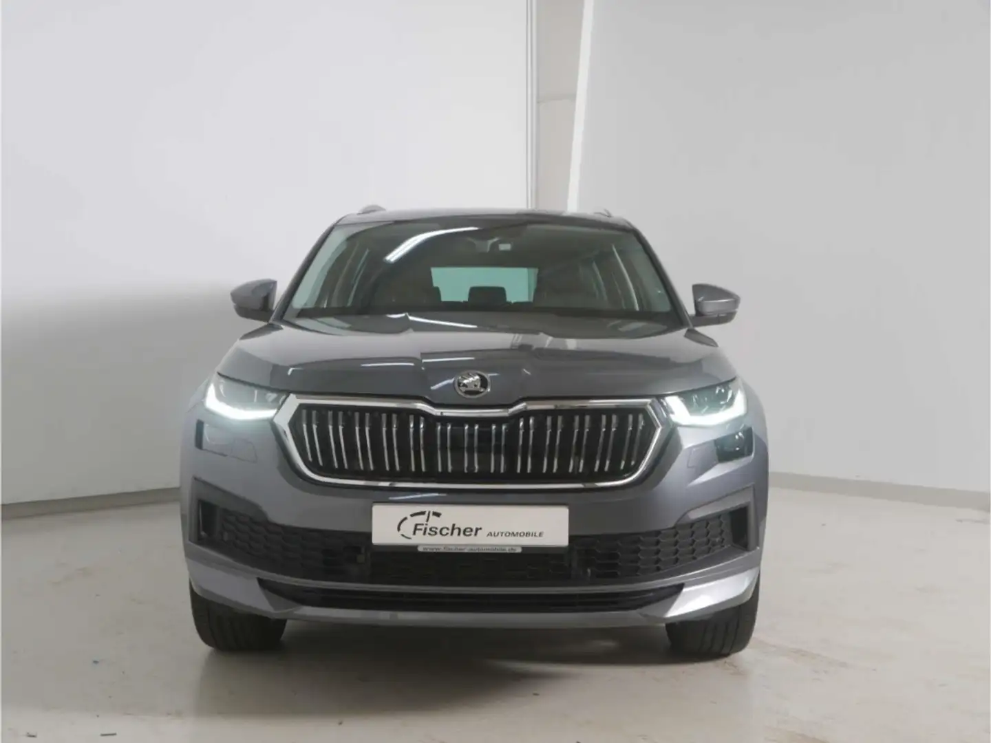 Skoda Kodiaq 2.0 TDI L&K 4x4 Grau - 2