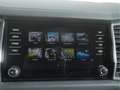 Skoda Kodiaq 2.0 TDI DSG 4x4 L&K NAV/Leder/Memory/360° Grau - thumbnail 31
