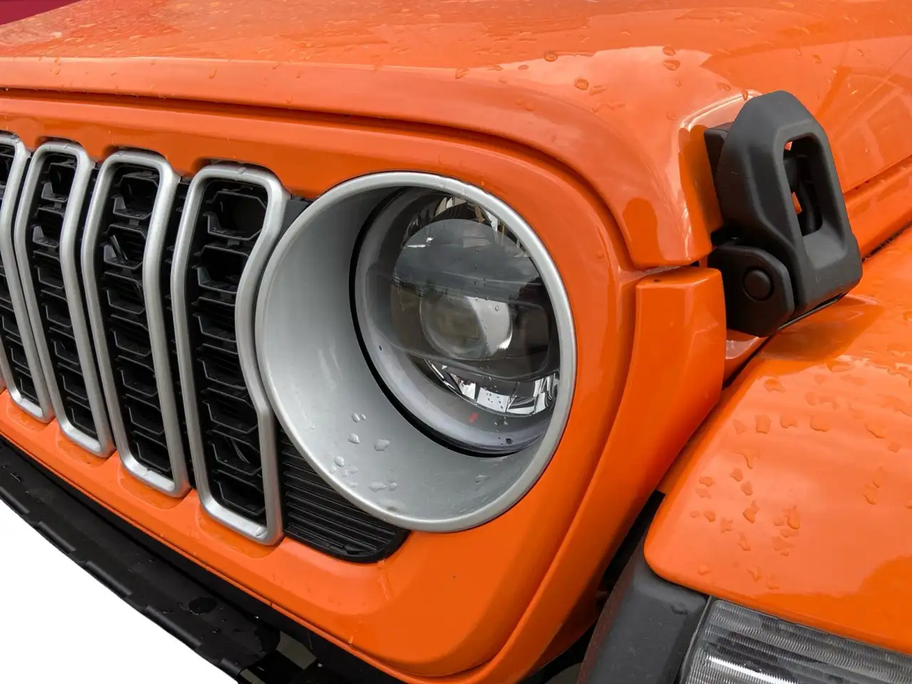 Jeep Wrangler photo Jeep Wrangler