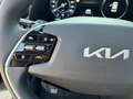 Kia e-Niro NIROEV GOLD E-MOTOR 64,8KWH AT 204 CR SD LP. € 47. Grau - thumbnail 11