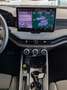 Skoda Superb 2.0TDI DSG 4x4 Pano Matrix ACC AHK 5J Gar Grau - thumbnail 21