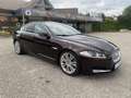 Jaguar XF 3,0 Diesel Premium Luxury Rot - thumbnail 3