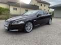 Jaguar XF 3,0 Diesel Premium Luxury Rot - thumbnail 1
