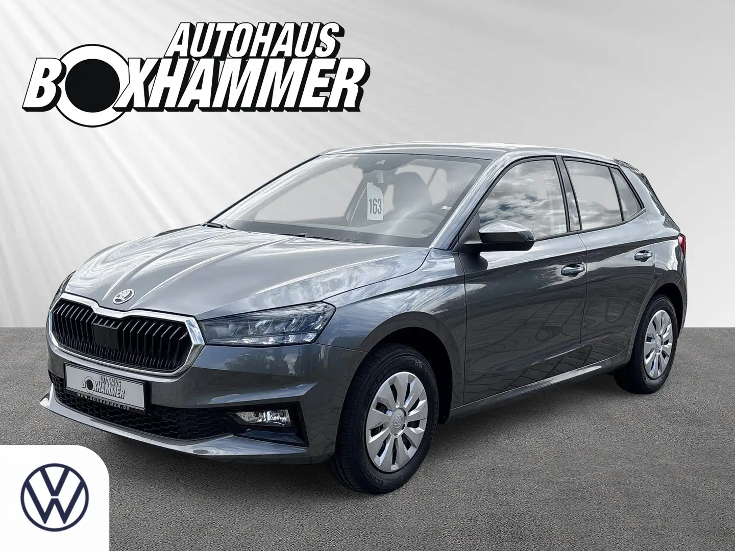 Skoda Fabia 1,0 TSI Selection TEMPOMAT+KLIMA+SHZ+LED Grau - 1