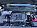 Dodge RAM 1500 Laramie Sport 2025 *Night Edition* Schwarz - thumbnail 12