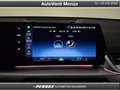 BMW X1 X1 sDrive 20i Msport Bianco - thumbnail 14