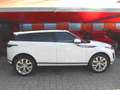 Land Rover Range Rover Evoque 2.0d i4 mhev  awd 163cv auto+TETTO APR+PELLE+C.20 Weiß - thumbnail 9
