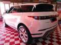 Land Rover Range Rover Evoque 2.0d i4 mhev  awd 163cv auto+TETTO APR+PELLE+C.20 Weiß - thumbnail 3