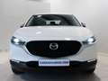 Mazda CX-30 2.5 e-Skyactiv-G Prime Line FWD 103kW Bianco - thumbnail 2