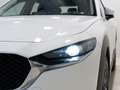 Mazda CX-30 2.5 e-Skyactiv-G Prime Line FWD 103kW Bianco - thumbnail 3