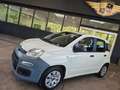 Fiat Panda 1.2 Pop BLANCO/AW-Reifen/1.Hand Weiß - thumbnail 3