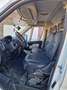 Fiat Ducato Ducato Maxi L2H2 teilverglast Wit - thumbnail 8