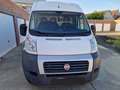 Fiat Ducato Ducato Maxi L2H2 teilverglast Wit - thumbnail 1
