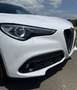 Alfa Romeo Stelvio Stelvio 2,2 ATX RWD Weiß - thumbnail 39