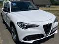 Alfa Romeo Stelvio Stelvio 2,2 ATX RWD Weiß - thumbnail 12