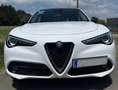 Alfa Romeo Stelvio Stelvio 2,2 ATX RWD Weiß - thumbnail 13