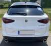 Alfa Romeo Stelvio Stelvio 2,2 ATX RWD Weiß - thumbnail 8