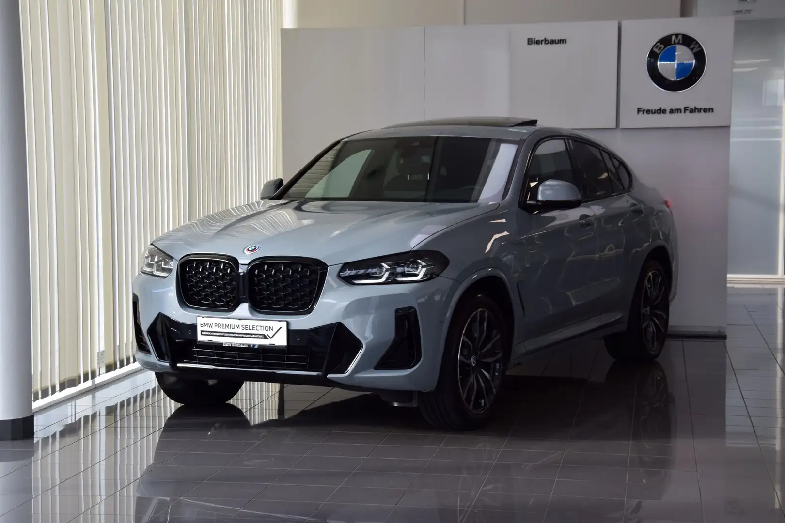 BMW X4 X4 xDrive30i Grau - 2