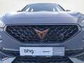 CUPRA Formentor 2.0 TDI 4Drive DSG Panorama-Glas-Schie Grau - thumbnail 13