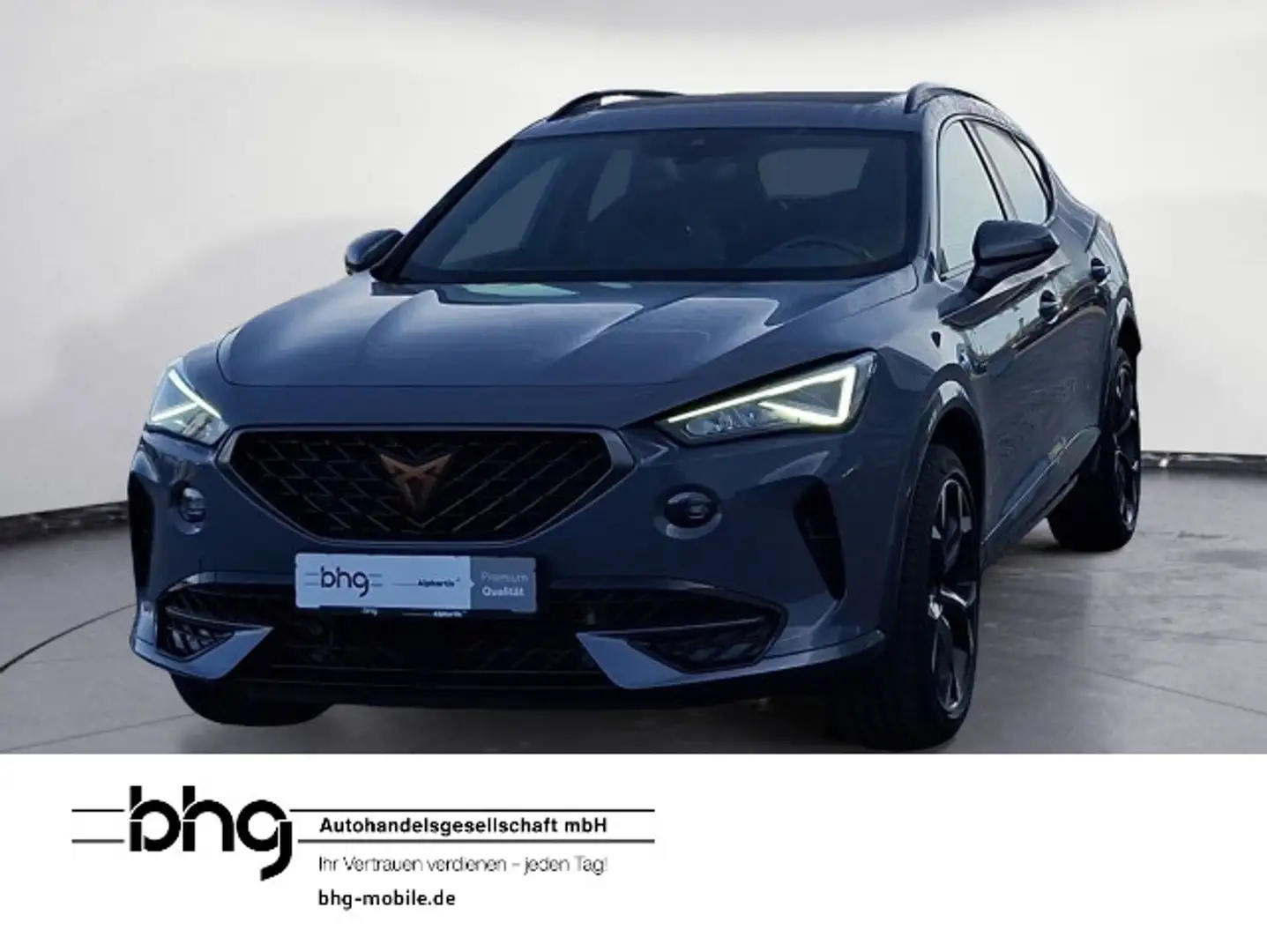 CUPRA Formentor 2.0 TDI 4Drive DSG Panorama-Glas-Schie Grau - 1