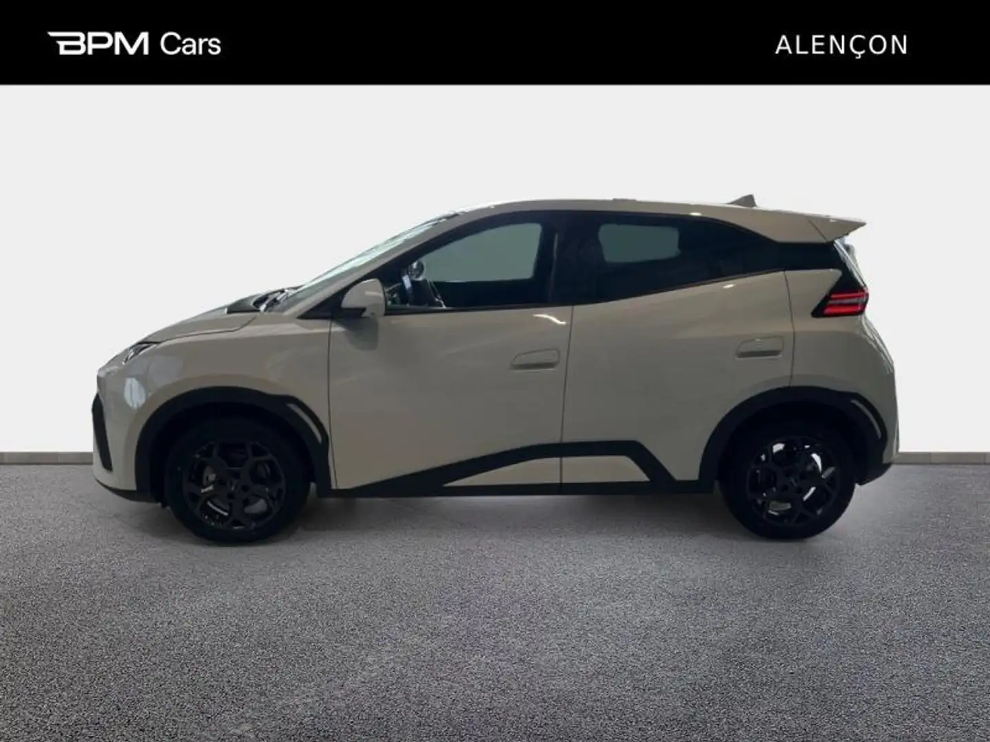 BYD Dolphin 156ch - 43,2 kWh Comfort Jaune - 2