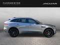 Jaguar F-Pace D165 R-Dyn. SE Winter Paket Black Pack Grau - thumbnail 6