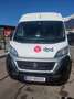 Fiat Ducato Maxi Multicab L2H2 - thumbnail 2