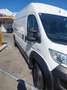 Fiat Ducato Maxi Multicab L2H2 - thumbnail 4