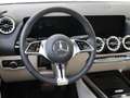 Mercedes-Benz B 250 e Business Line / Stoelverwarming / Panaroma-schui Zwart - thumbnail 10