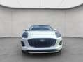 Ford Puma 1.0 EcoBoost Hybrid TITANIUM 92 kW, 5-türig Wit - thumbnail 9