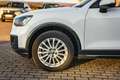 Audi Q2 30 TFSI design *DAB *NAVI *SHZ *TEMPOMAT Weiß - thumbnail 13