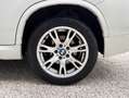 BMW X1 sDrive18d M Sport | GARANZIA+TAGLIANDO Blanco - thumbnail 9